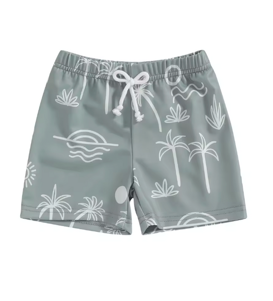 Noah Swim Shorts