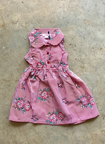 Eiffel Floral Red & White Stripe Button Down Collared Dress